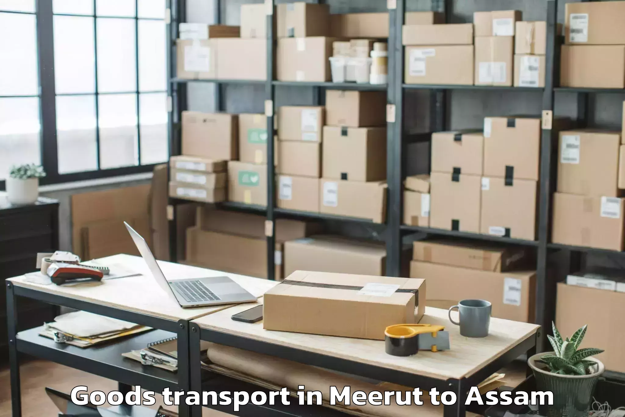 Professional Meerut to Shivsagar Goods Transport